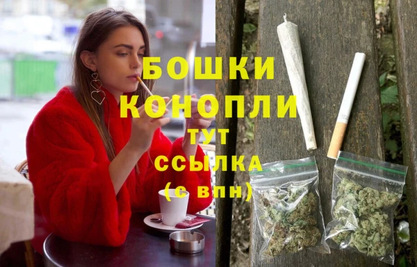 сатива Заволжск