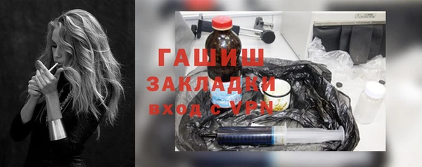 дмт Ельня