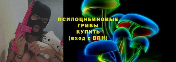 шишки Заводоуковск
