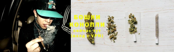 шишки Заводоуковск