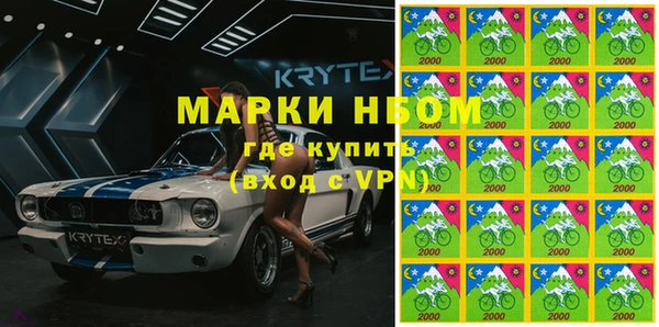 шишки Заводоуковск