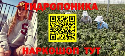 индика Ипатово