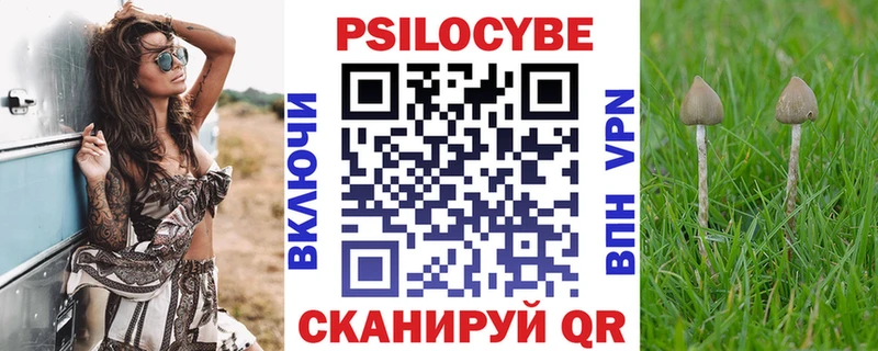 наркотики  Калач-на-Дону  Галлюциногенные грибы прущие грибы 