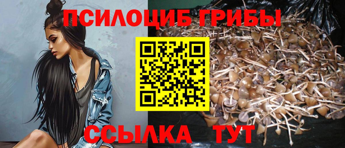 Псилоцибиновые грибы Magic Shrooms  Вход с VPN  что такое   Калач-на-Дону 